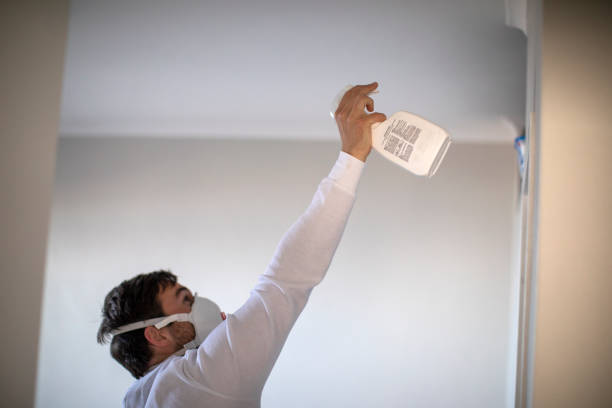 Best Water Damage Restoration  in Dulles Town Center, VA