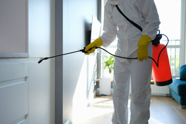 Best Office Mold Removal Services  in Dulles Town Center, VA