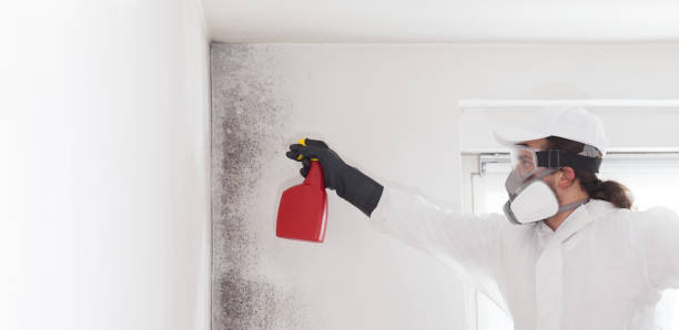 Best Mold Cleaning Services  in Dulles Town Center, VA