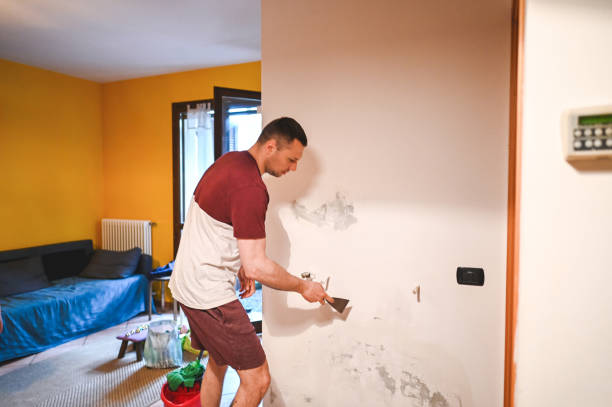 Best Black Mold Removal  in Dulles Town Center, VA